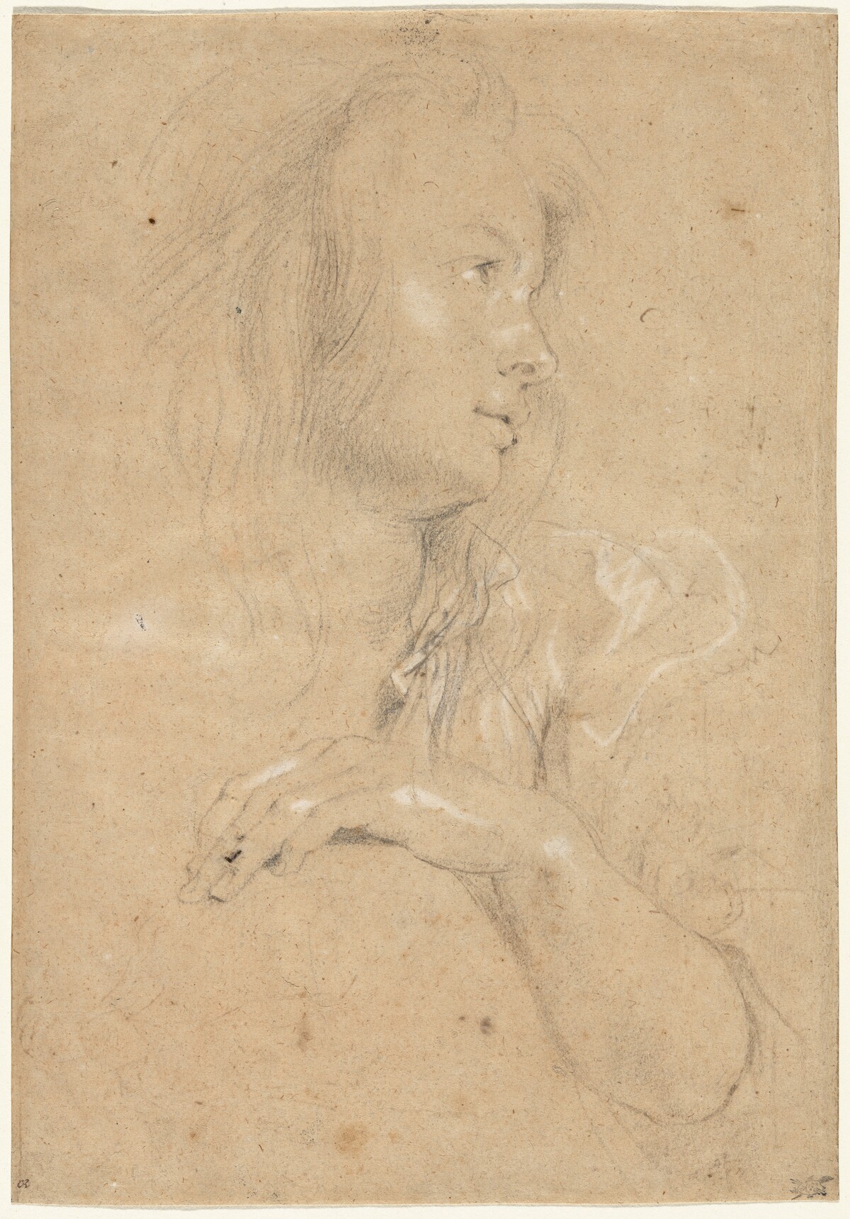 Young Woman in Profile by Sir Peter Paul Rubens