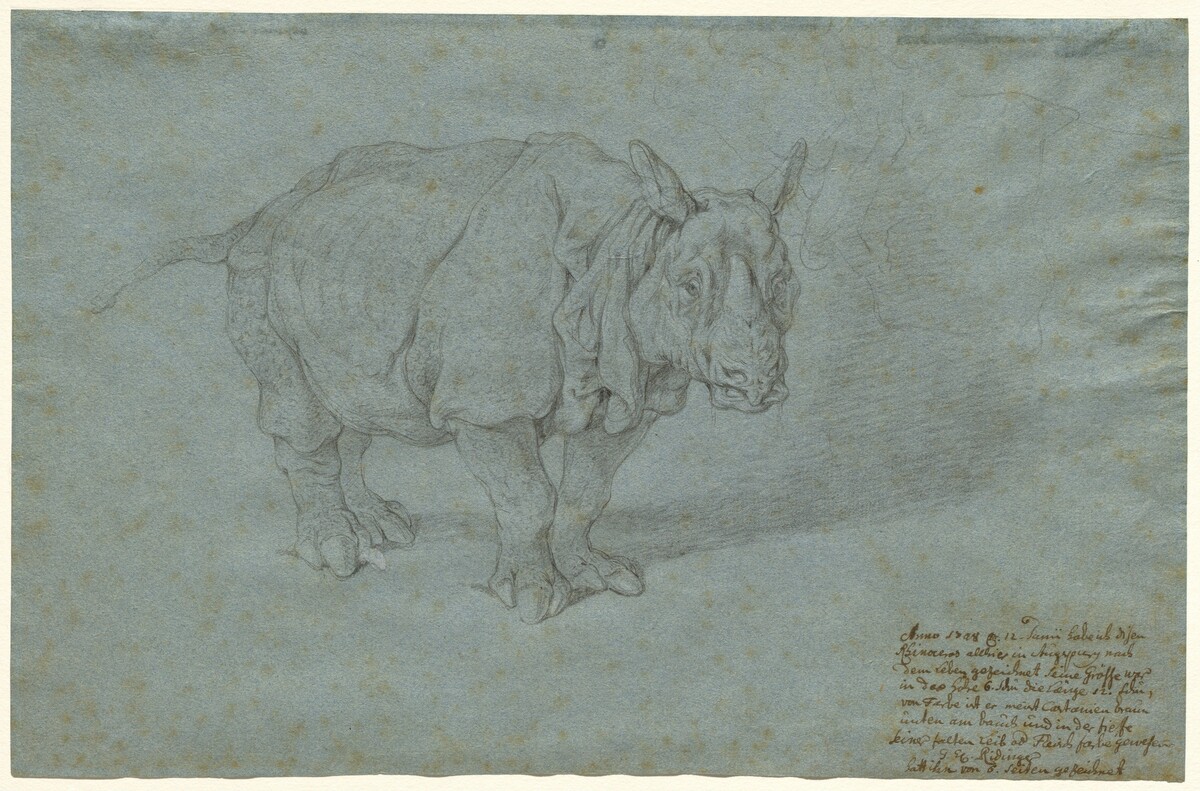The Rhinoceros "Miss Clara" by Johann Elias Ridinger