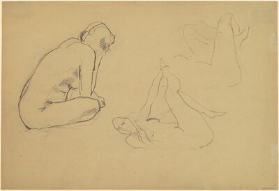 Studies of a Female Nude [recto]