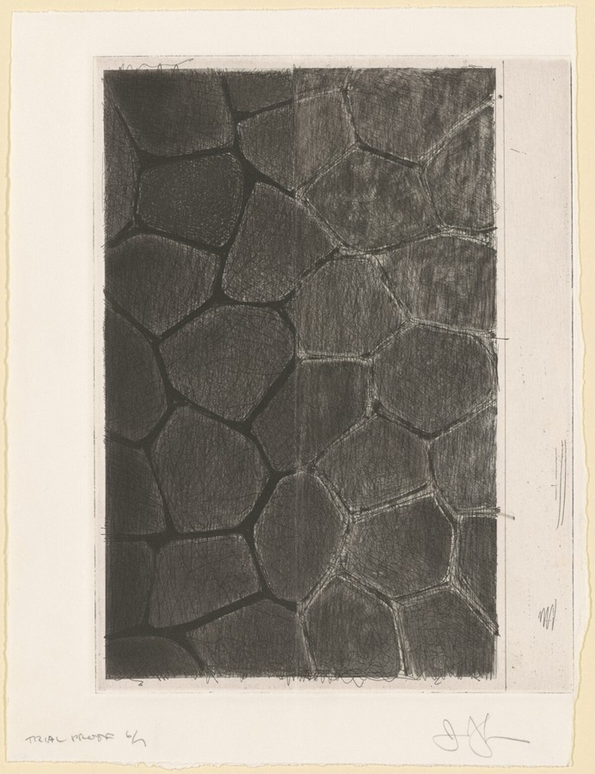 Flagstones (a) [trial proof 6] by Jasper Johns