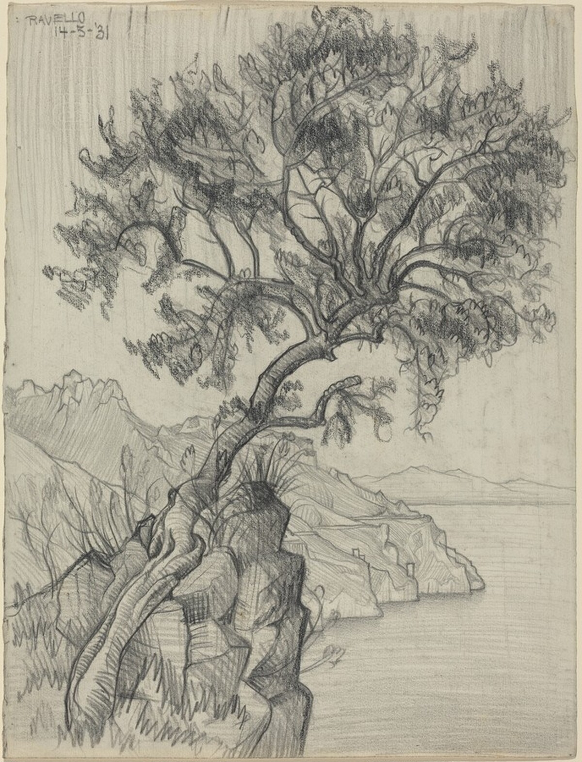 Carruba Tree (Ravello) by M.C. Escher