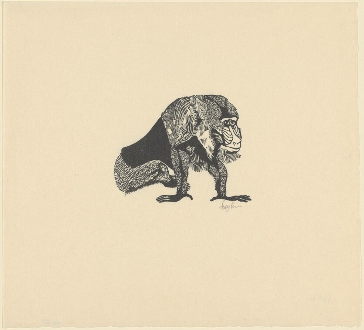 Mandrill by Leonard Baskin