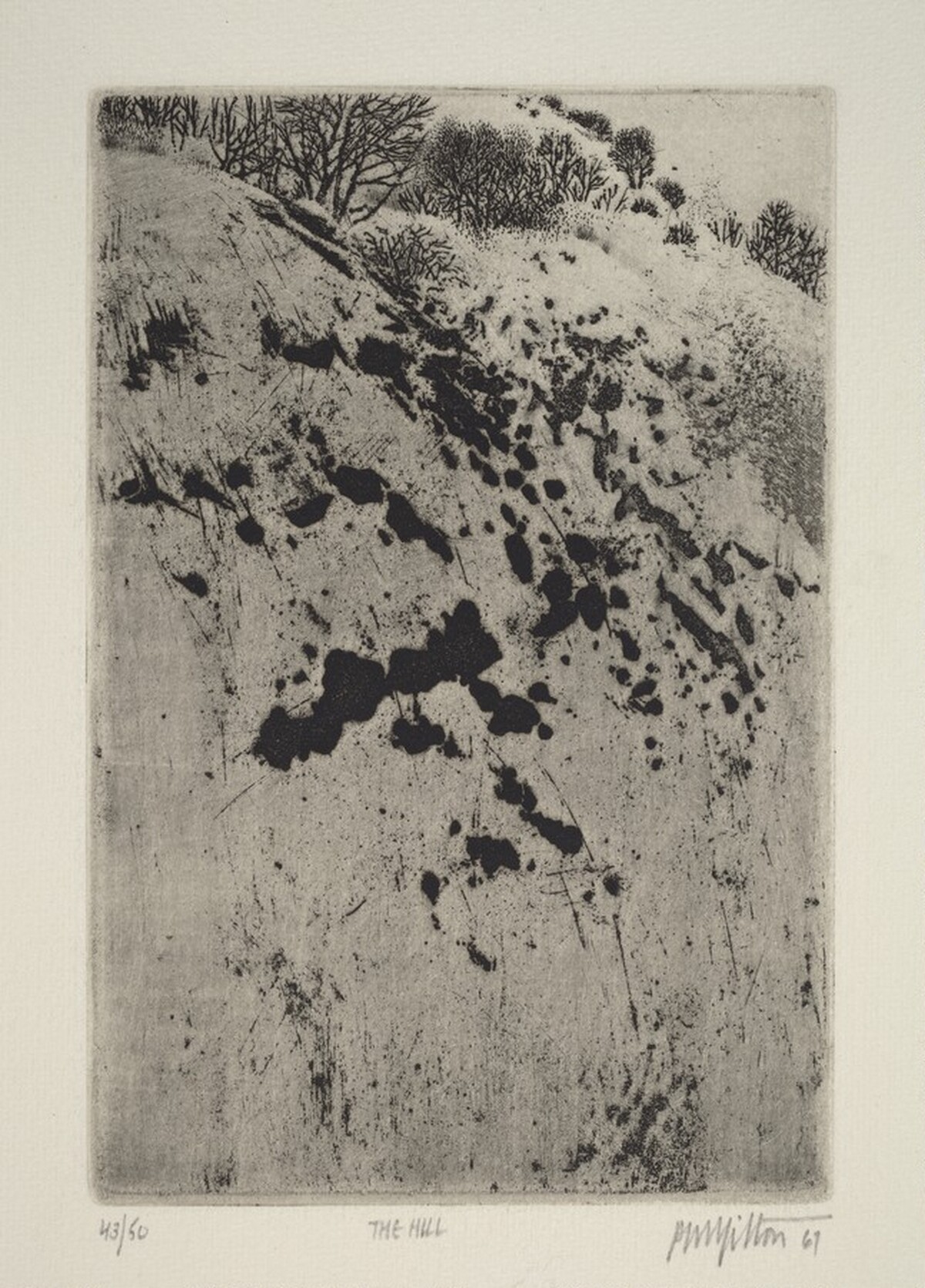 The Hill by Peter Milton