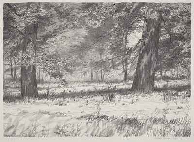 Two Maples