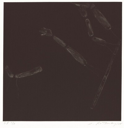 Puppet Series #3