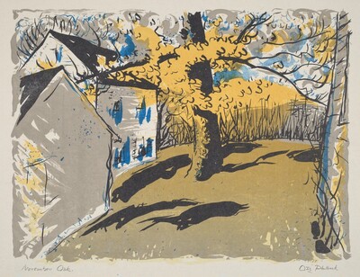 November Oak