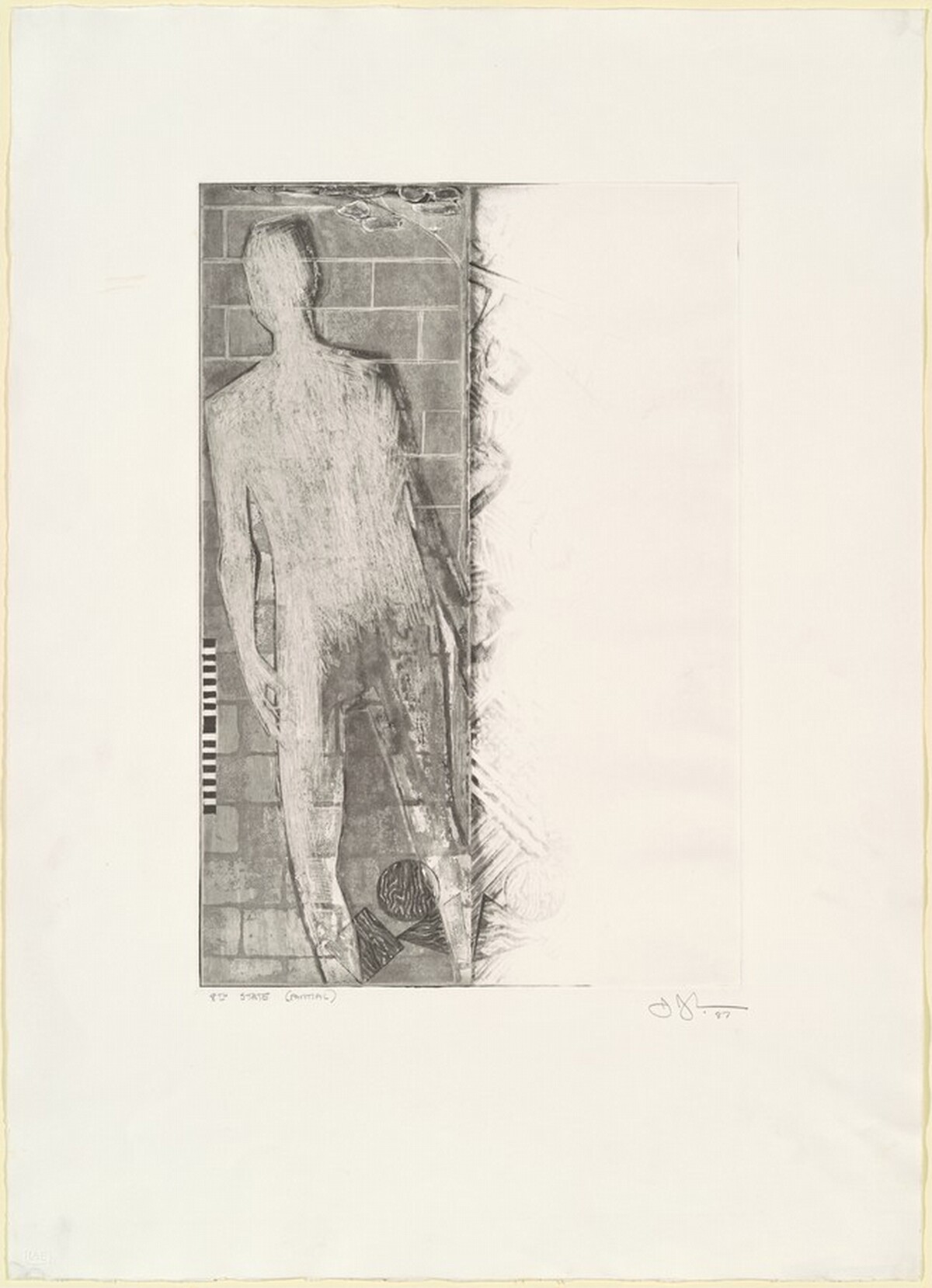 The Seasons (Summer) [state proof of 8th state] by Jasper Johns