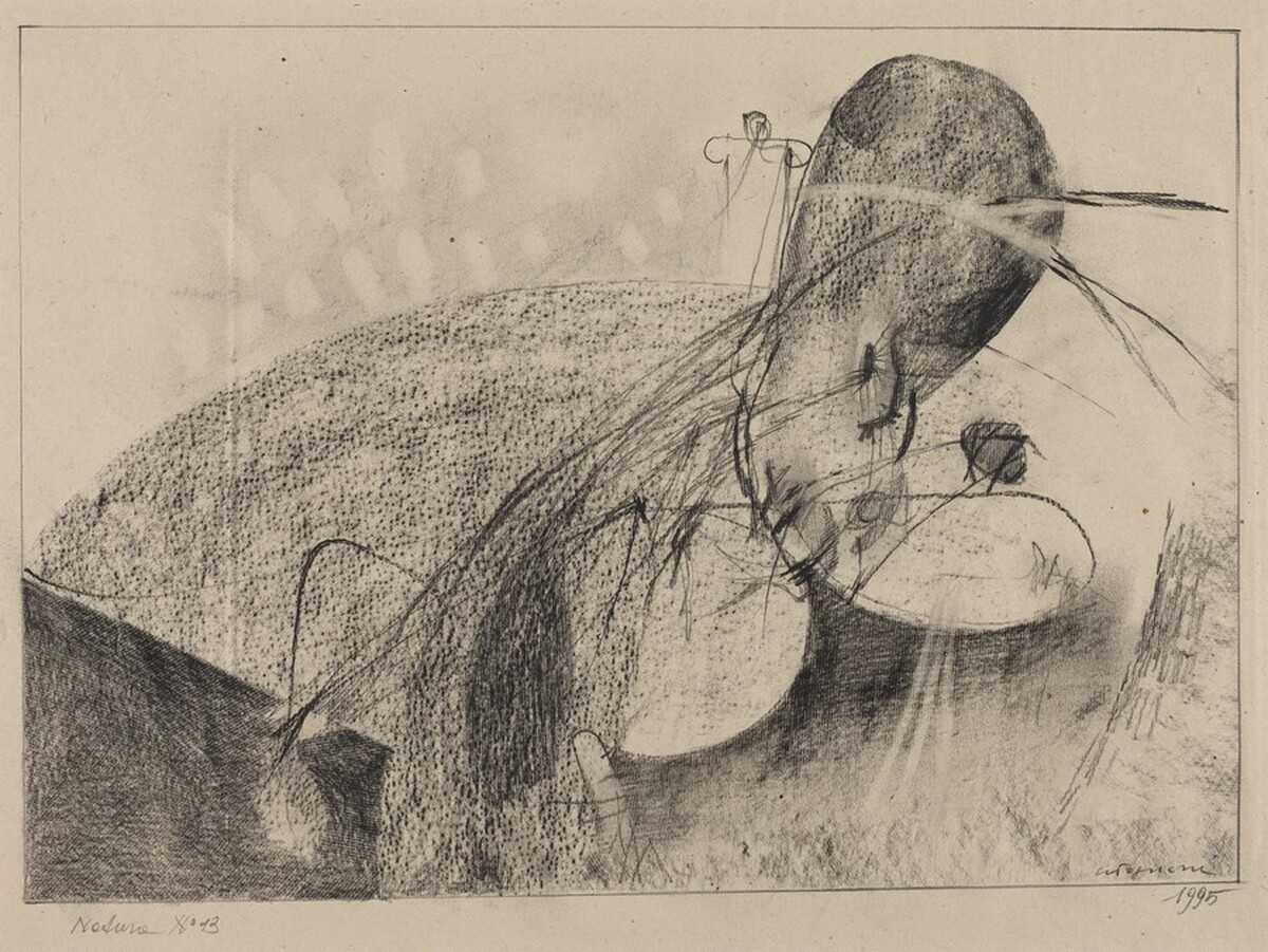 Natura No. 13 (Nature No. 13) by Giancarlo Tognoni