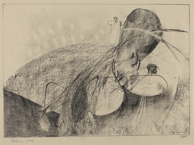 Natura No. 13 (Nature No. 13)