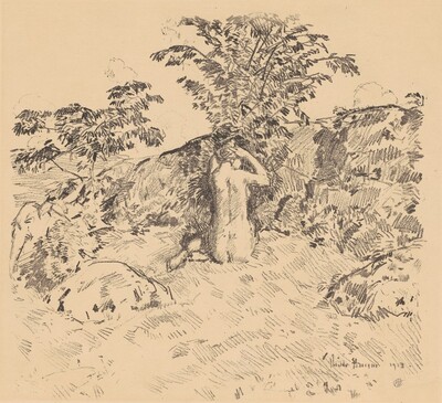 The Wild Cherry Tree