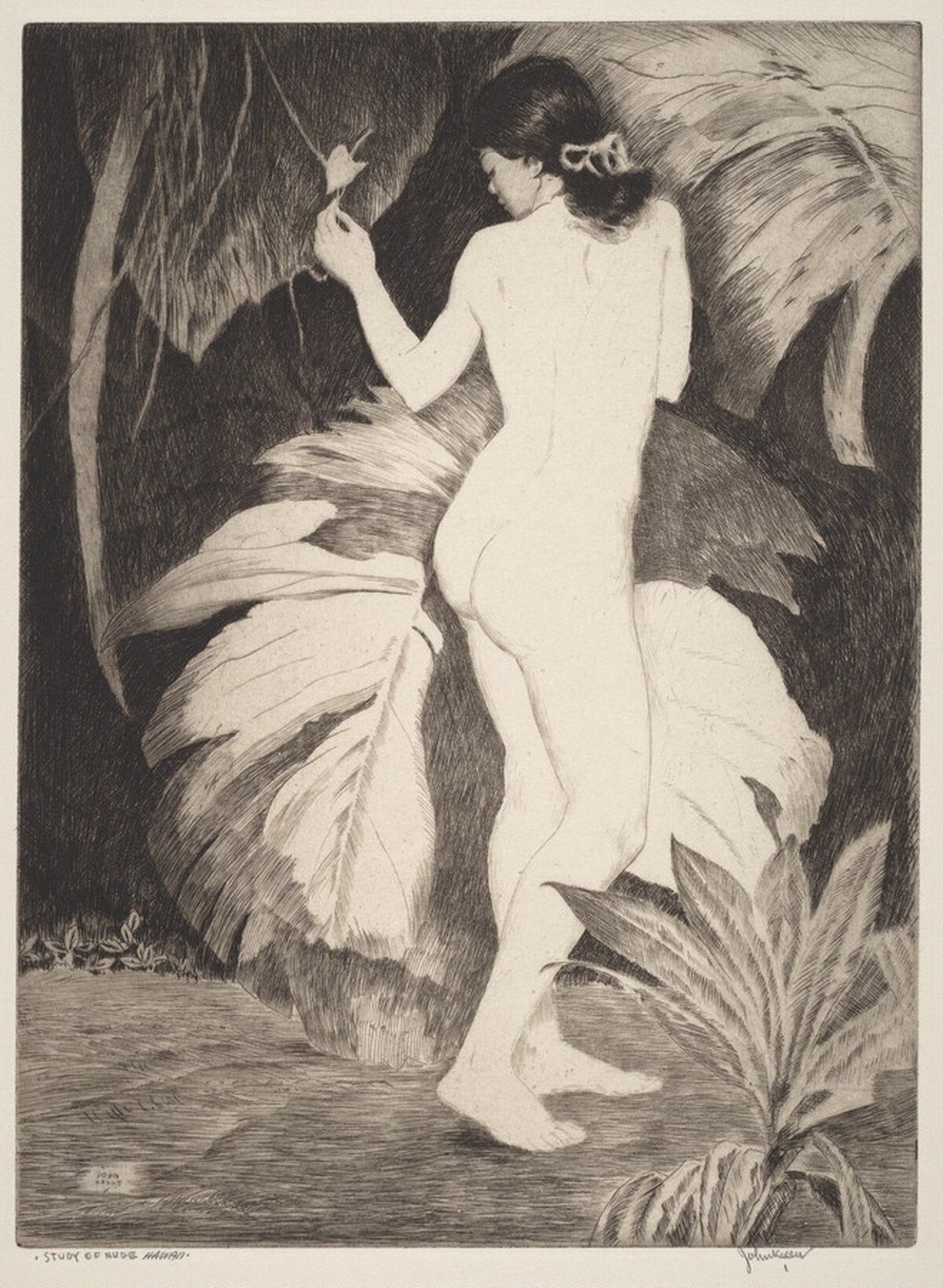 Study of Nude - Hawaii by John Melville Kelly