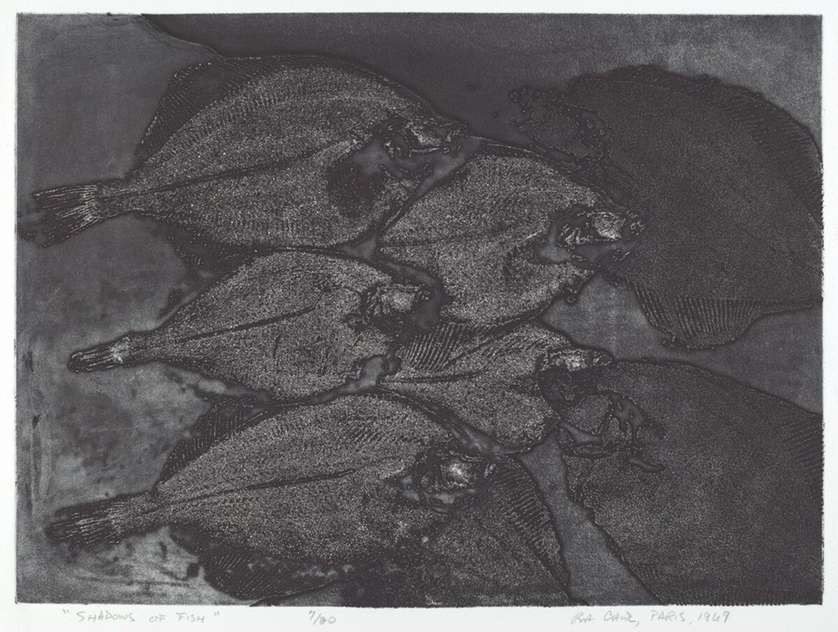 Shadows of Fish by Robert Allan Cale