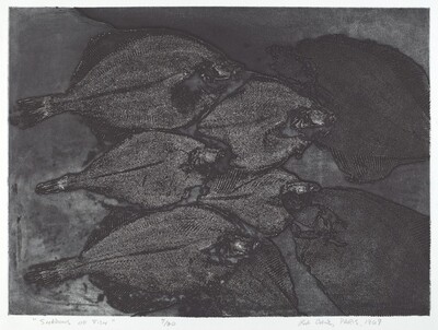 Shadows of Fish