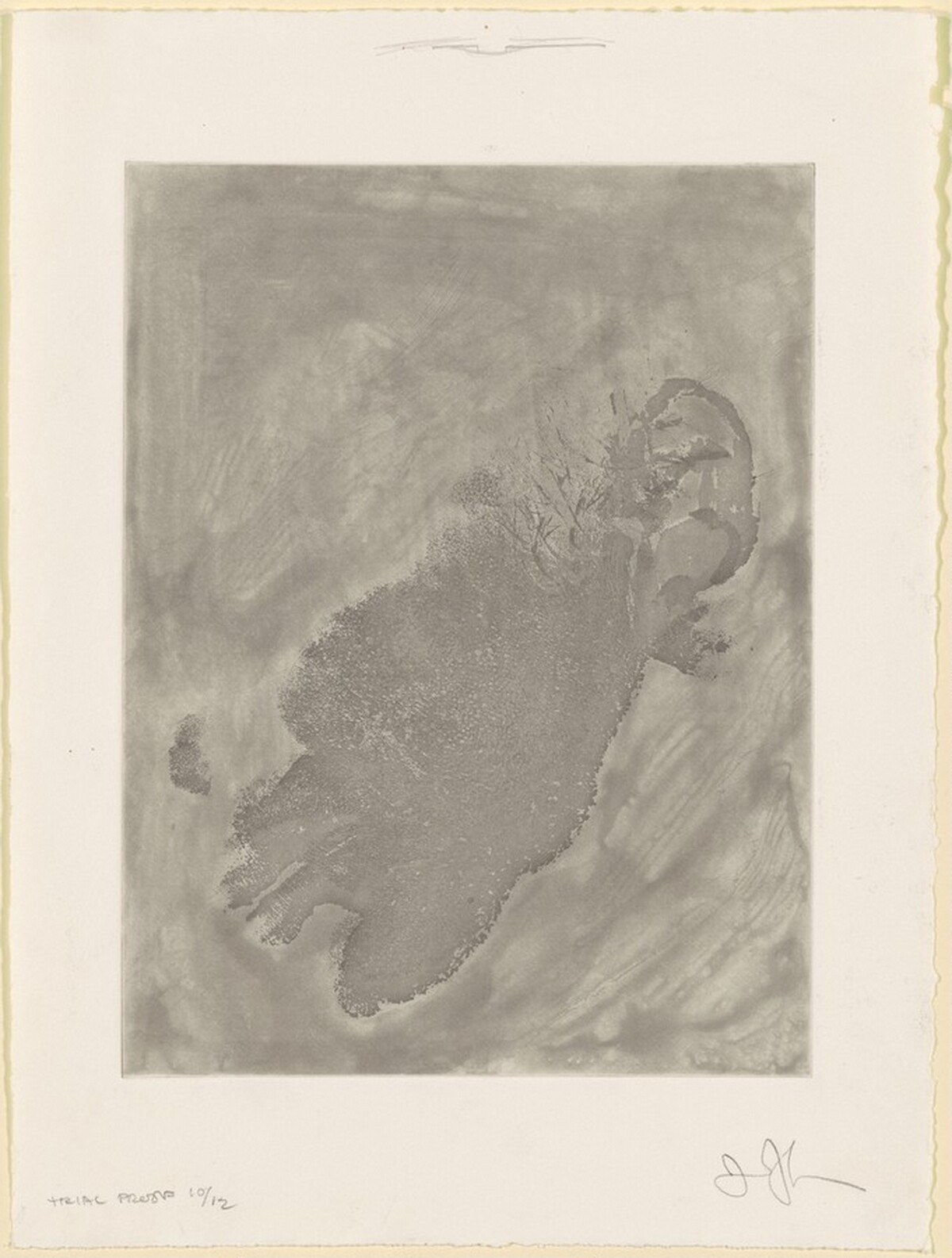 Face [trial proof 10] by Jasper Johns