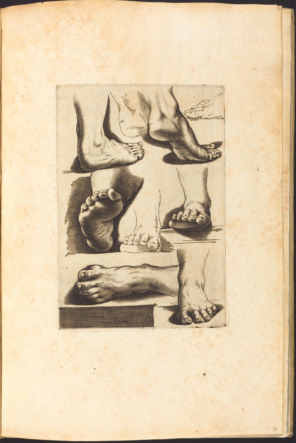 Print from Drawing Book by Luca Ciamberlano