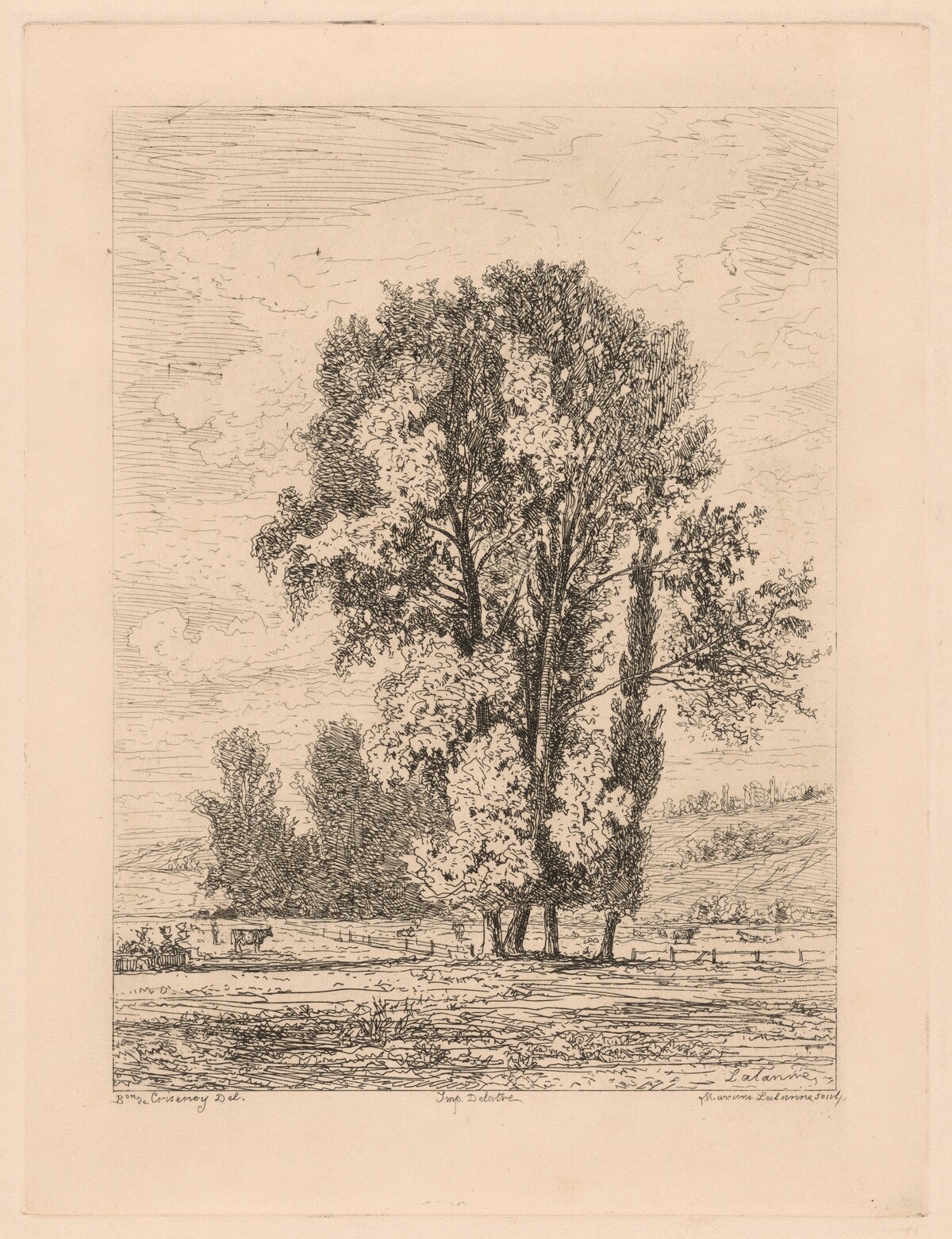 Landscape with Clump of Four Trees by Maxime Lalanne, after Pierre Émile de Crisenoy