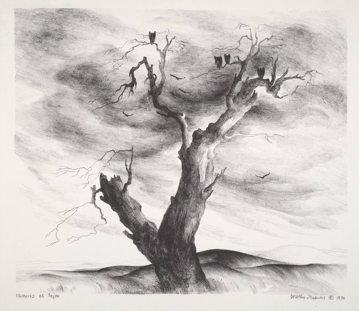 Vultures at Tejon by Dorothy Jeakins