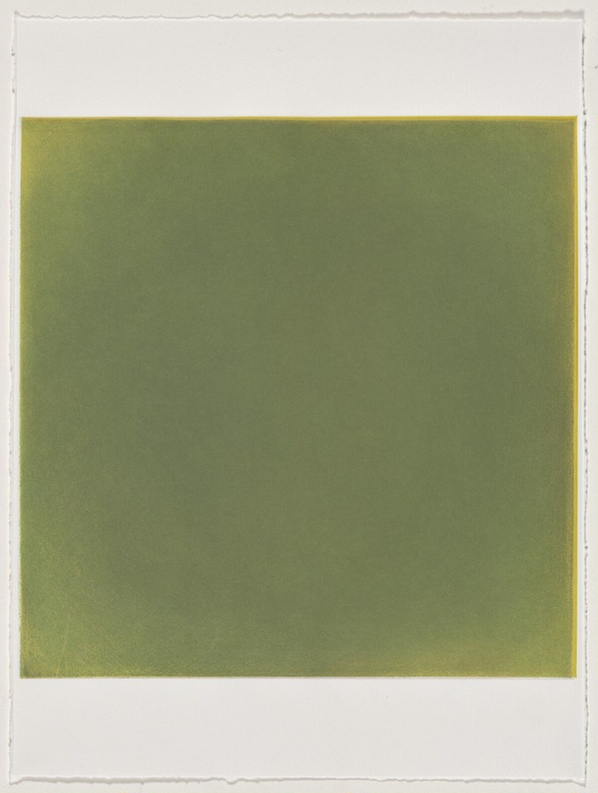 Sweet Pine [working proof 5B] by Anne Appleby