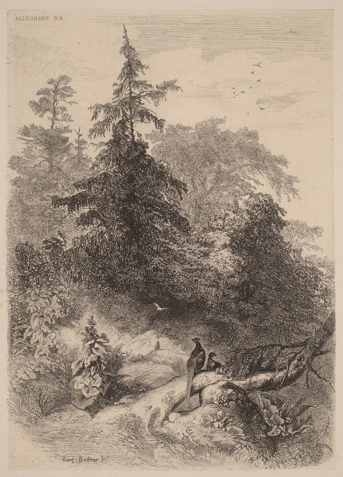 Les Faisans by Karl Bodmer