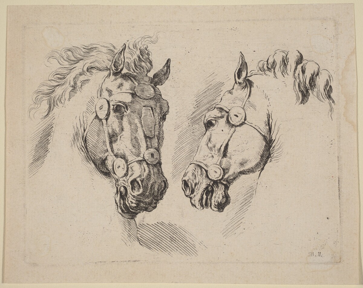 Two Horse Heads by Stefano Della Bella