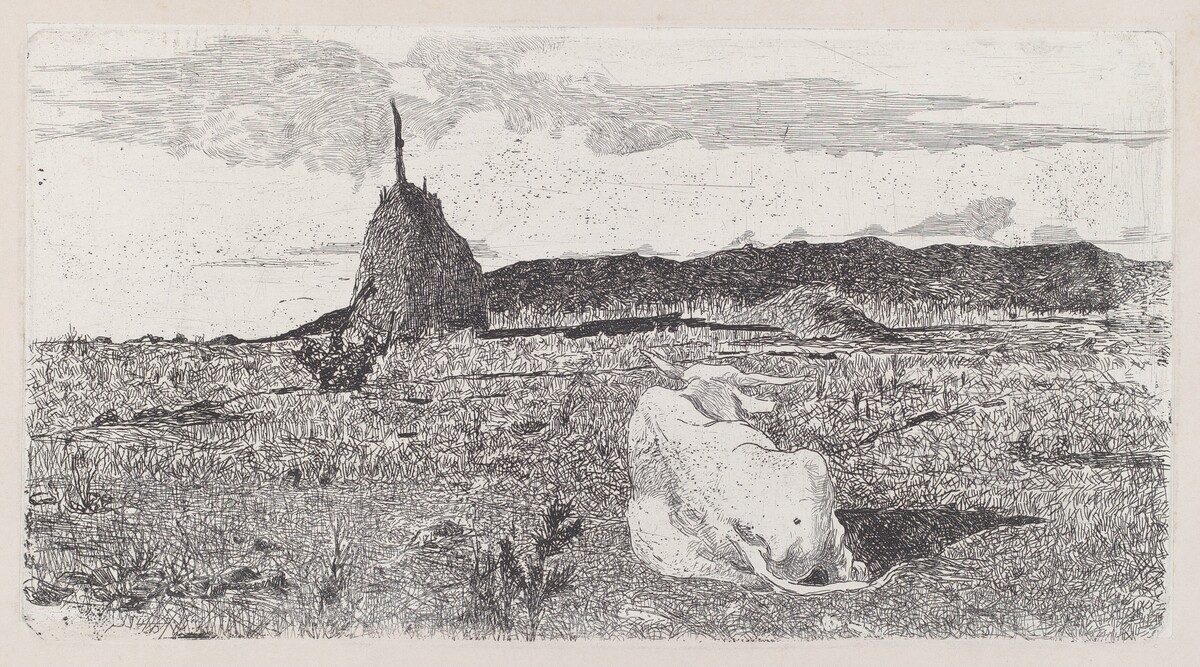 Holy Cow (Pio bove) by Giovanni Fattori