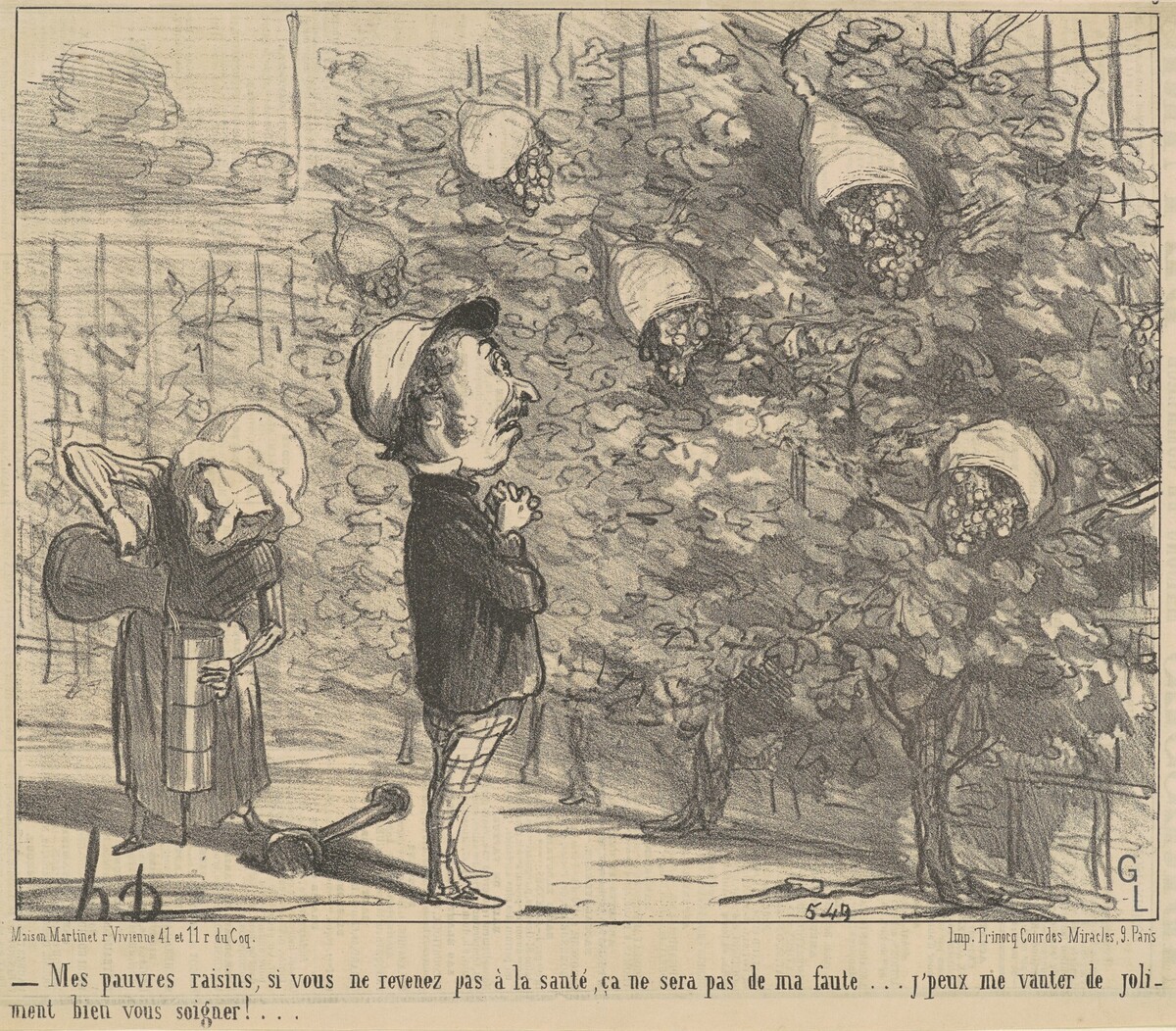 Mes pauvres raisons, si vous ne revenez pas à la sauté... by Honoré Daumier