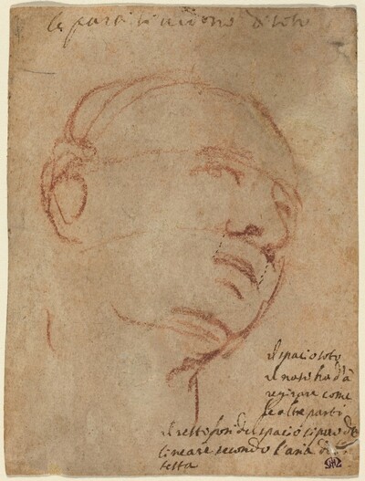 Head of a Man