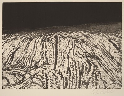 Snehové brazdy (Snow Furrows)