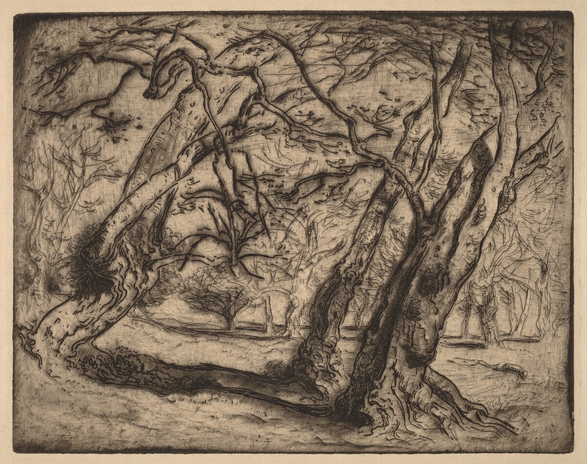 Untitled (Wooded Landscape) by Samuel Colman