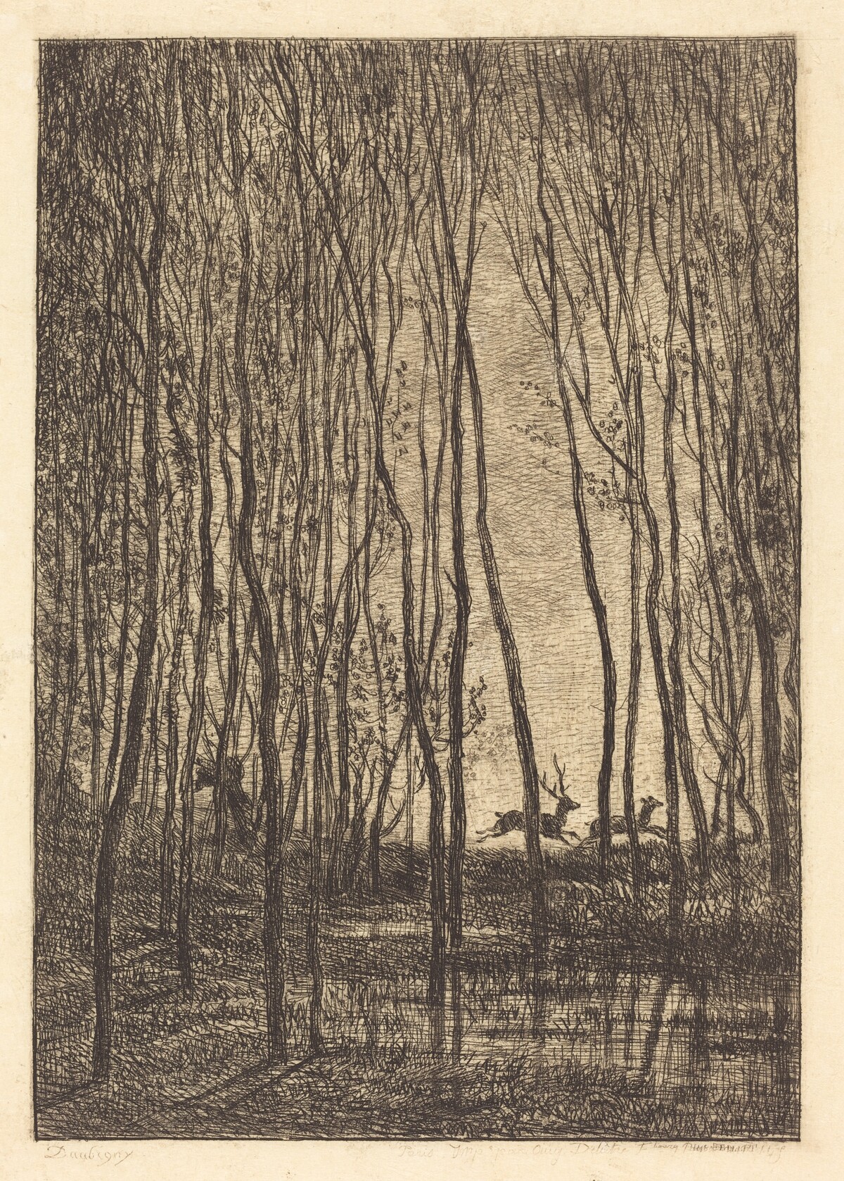 Deer in the Woods (Les Cerfs sous bois) by Charles-François Daubigny
