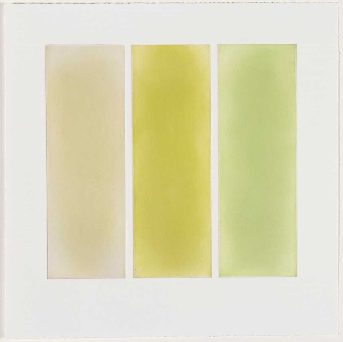 False Iris [working proof 3] by Anne Appleby