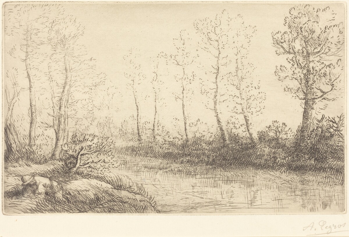 Birch Trees: Water's Edge Seen in Morning Light (Les Bouleaux: Bord de l'eau, effet du matin) by Alphonse Legros