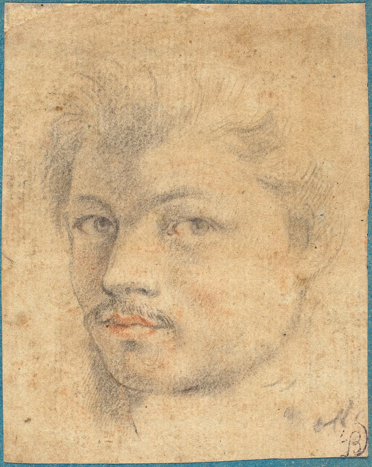 Head of a Man by Italian or French 16th/17th Century