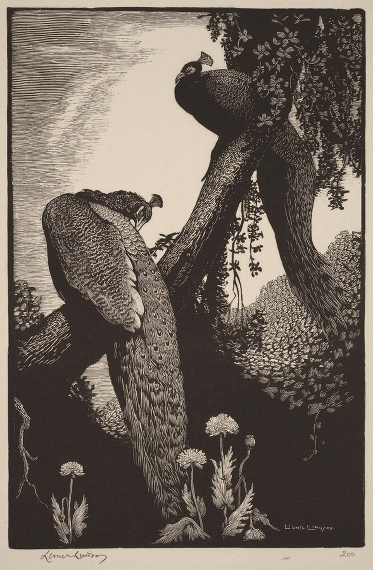 Repose by Lionel Lindsay
