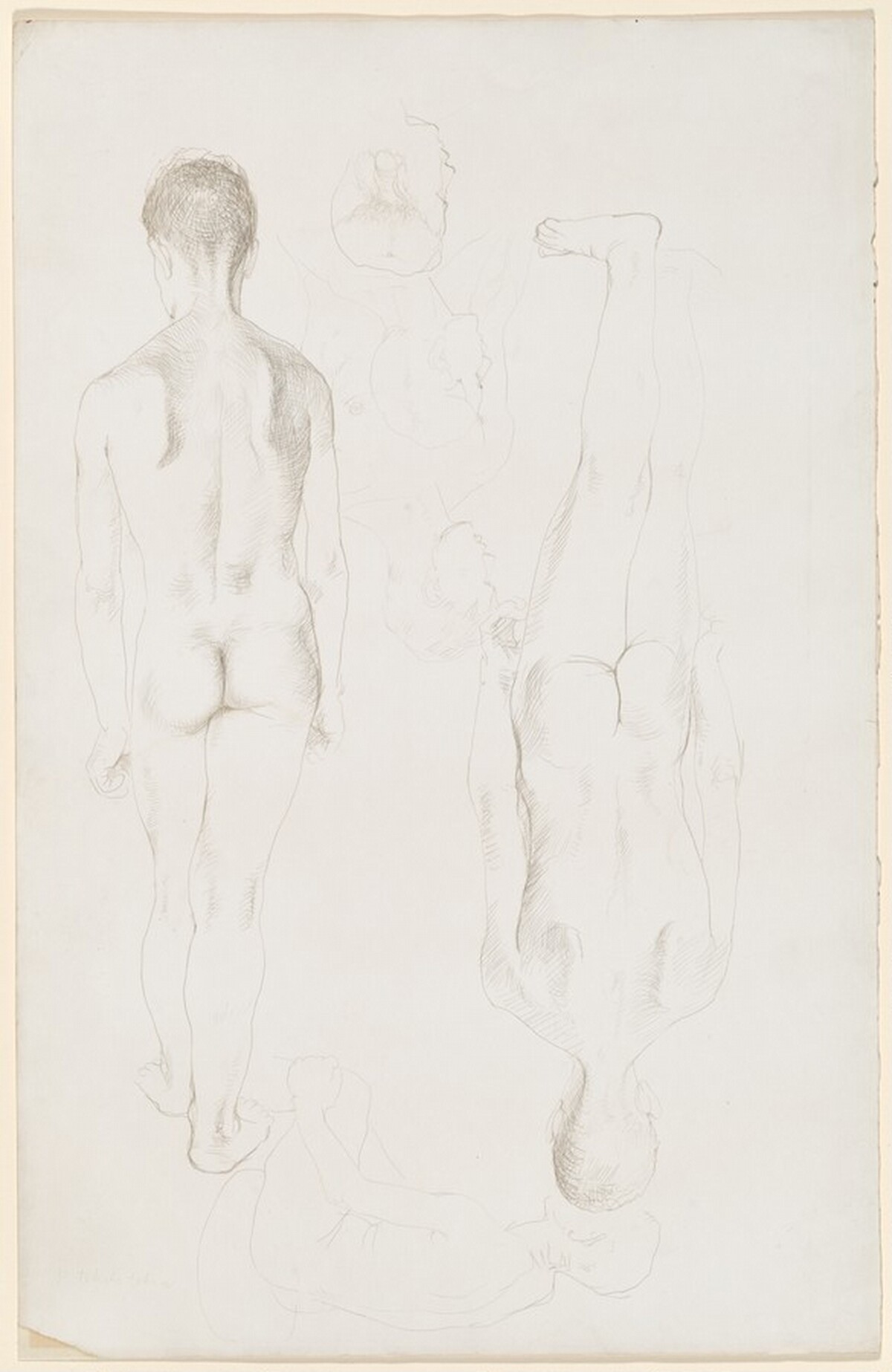 Sheet of Studies of Standing Male Nudes, Seen from Behind by Pavel Tchelitchew