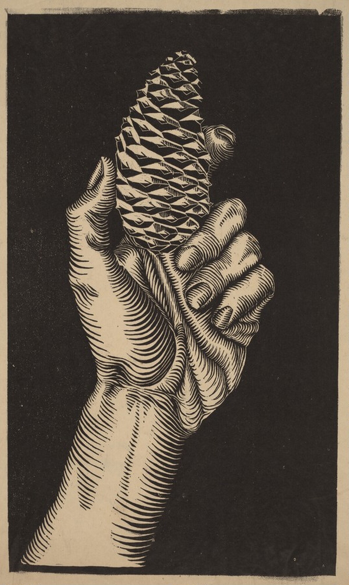 Hand with Fir Cone by M.C. Escher