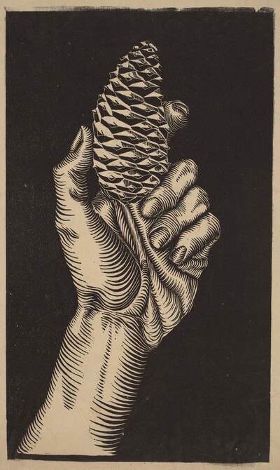 Hand with Fir Cone