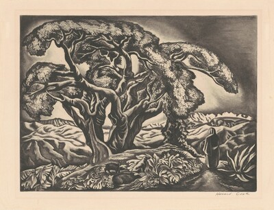 Mexican Landscape