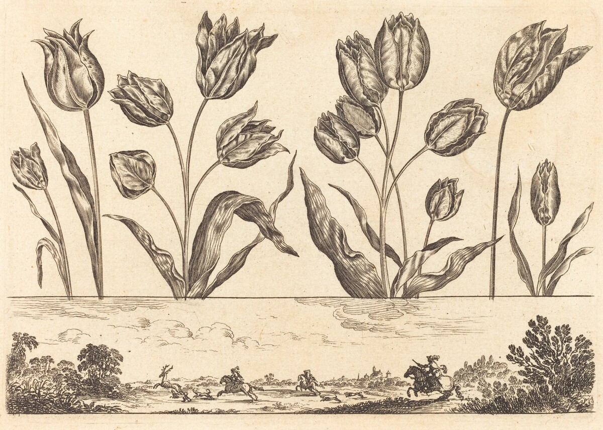Flower Print no.12 by Nicolas Cochin after Balthasar Moncornet
