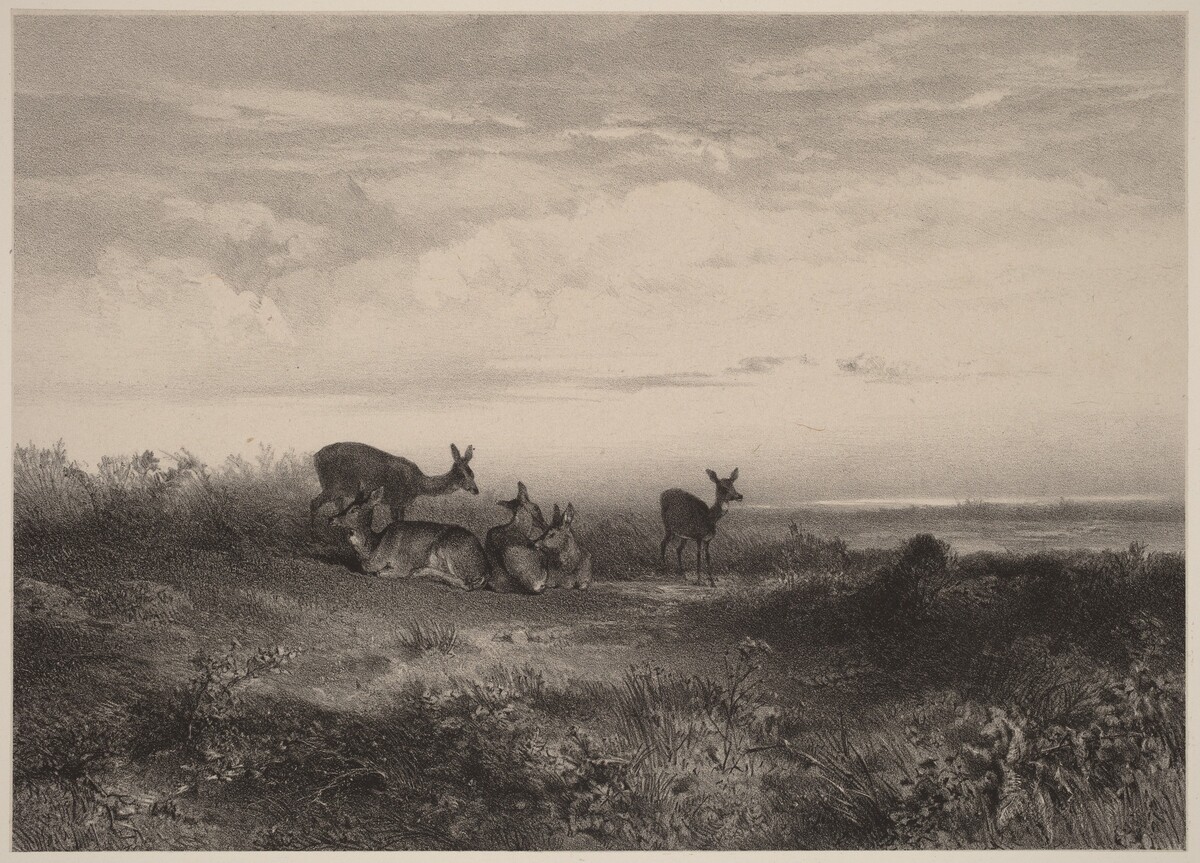 Les biches by Karl Bodmer
