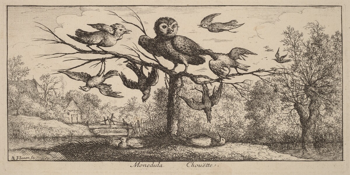 Monedula, The Owl by Albert Flamen