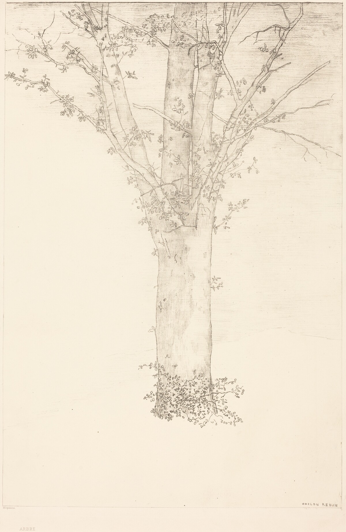 Arbre (Tree) by Odilon Redon