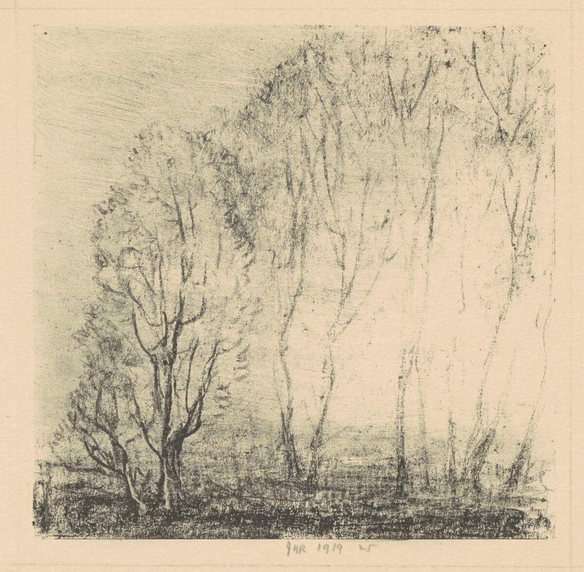 Sunset Through the Trees by James N. Rosenberg