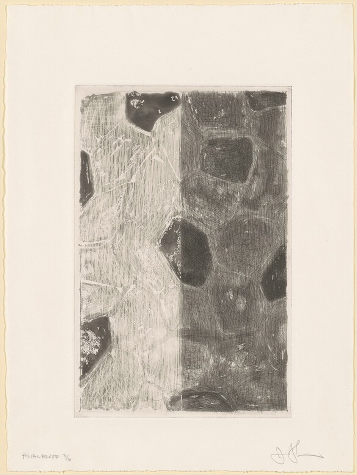 Flagstones (b) [trial proof 3] by Jasper Johns