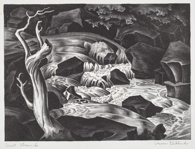 Trout Stream