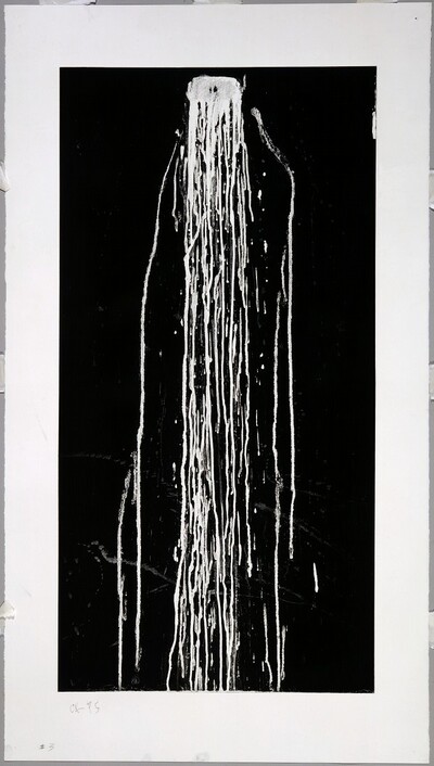 Long Vertical Falls #3