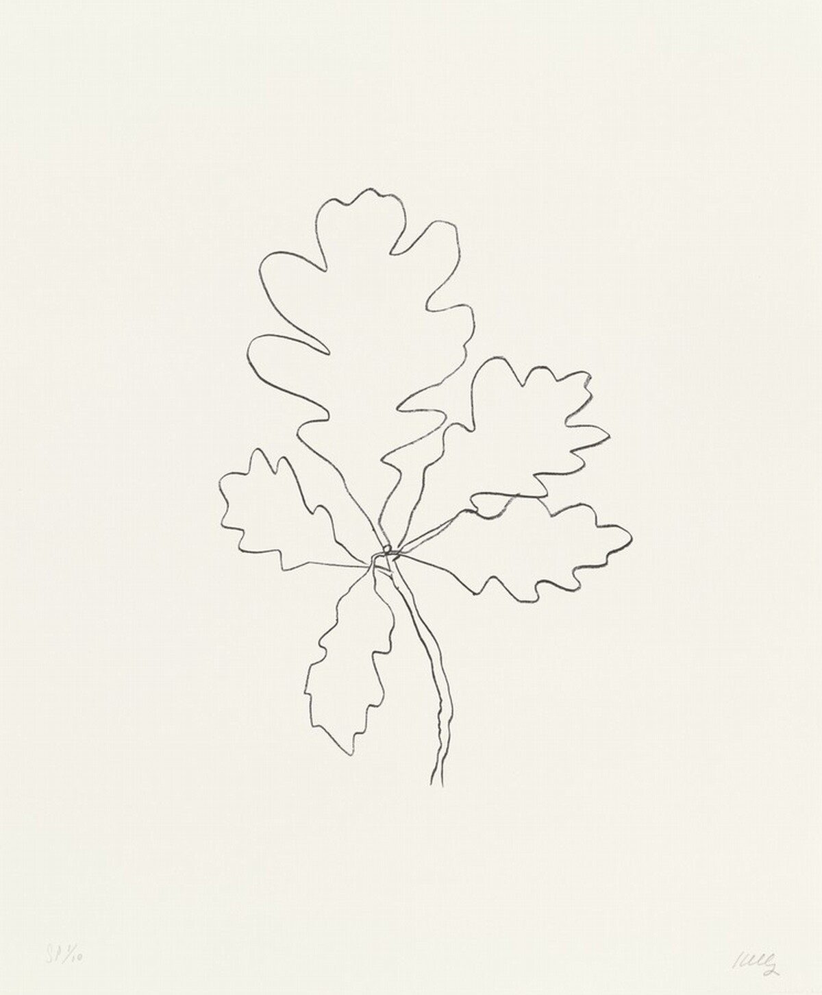 Oak IV by Ellsworth Kelly