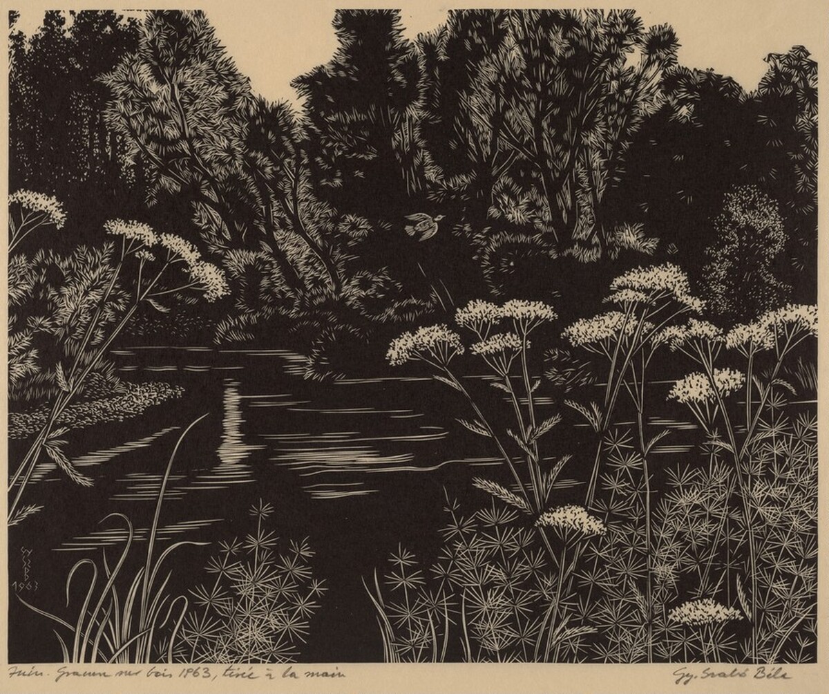 Juin (June) by Gy Szabo Bela