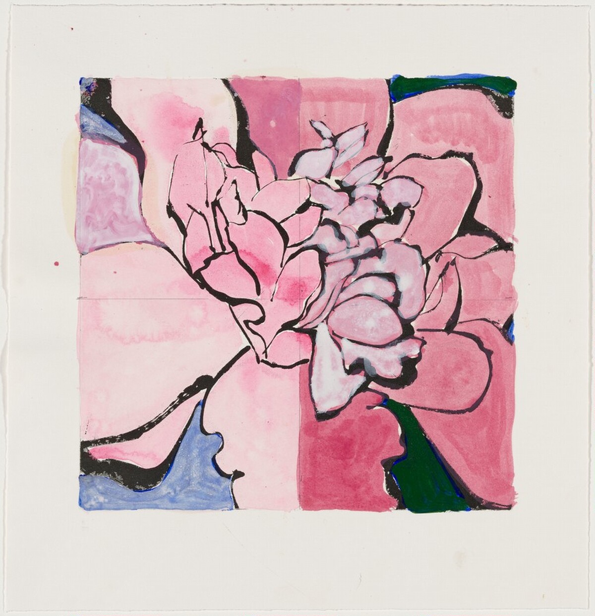 Camellia Red [working proof 2] by Robert Kushner