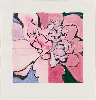 Camellia Red [working proof 2]